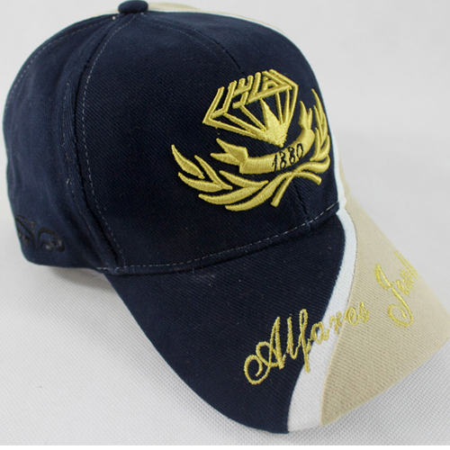 Custom 3D Embroidered side Cap/Hat